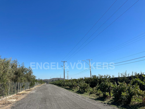 Terreno En Santa Amalia