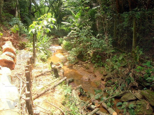 Imagem 6 de 15 de Chácara À Venda Em Parque Jaguari - Santana De Parnaíba - 23231