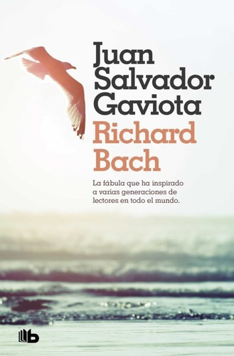 Libro: Juan Salvador Gaviota / Richard Bach