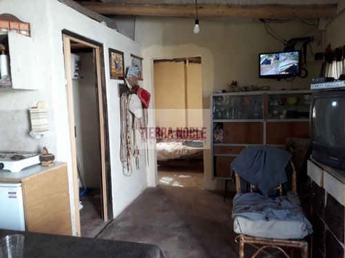 Imagen 9 de 17 de Permuto Por Casa Finca Agroganadera
