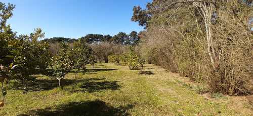 Fraccion De 8.1000 M² Parquizada Y Forestada