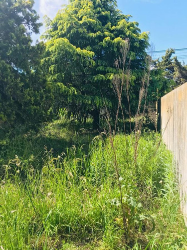 Imagen 3 de 7 de Terreno Venta 10 X 30 Mts - 300 Mts 2 Totales - Manuel B Gonnet