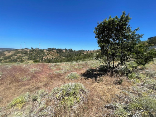 Sitio En Venta En Quintero