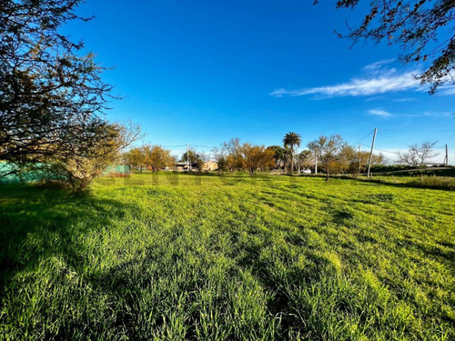Venta Terreno 550m² En Luis Palacios