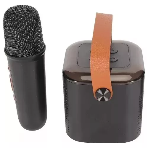 Set 2 Micrófonos Inalambricos Karaoke / C & S Market Color Negro