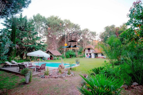 Alquilo Hermoso Quincho En Zona De Portezuelo,punta Del Este