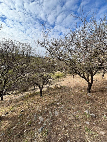 Terreno En Cumbres Del Golf