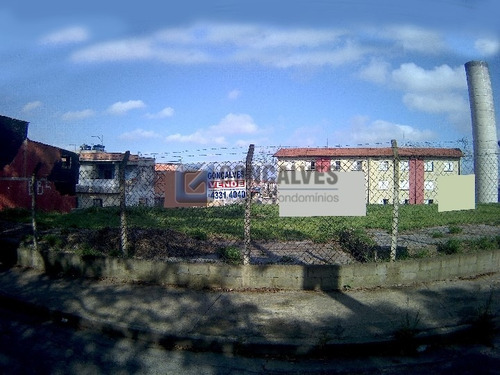 Imagem 1 de 15 de Venda Terreno Sao Bernardo Do Campo Alvarenga Ref: 146119 - 1033-1-146119