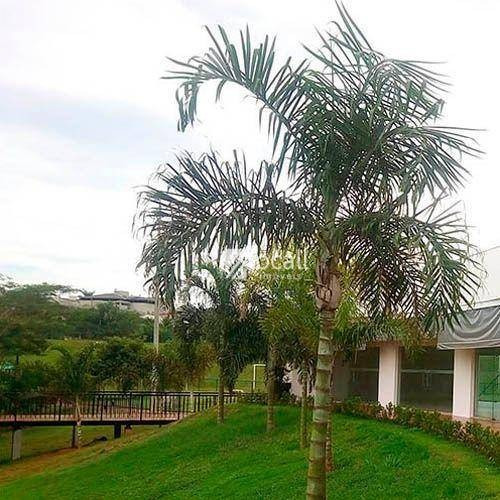 Imagem 5 de 5 de Terreno À Venda, 407 M² Por R$ 360.000,00 - Residencial Gaivota Ii - São José Do Rio Preto/sp - Te1008