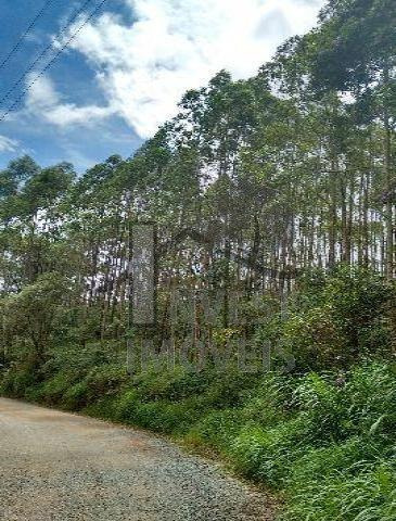 Imagem 8 de 8 de Cód 2618 - Lindo Sitio Com 48.000 M2 - 2618