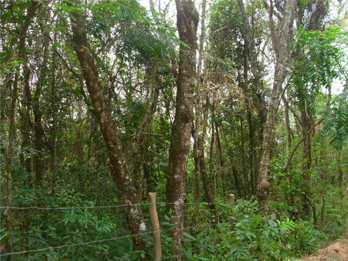 Imagem 1 de 6 de Sítio - Pico Alto - Si0240