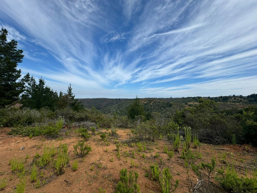 Se Vende Hermosa Parcela Con 3 Cabañas En Melosilla