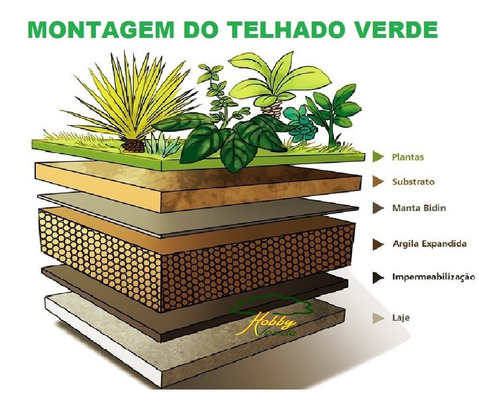 Argila Expandida Cinasita 3222 Isolante Térmico Drenagem 1l
