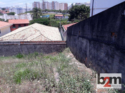 Imagem 8 de 9 de Terreno À Venda, 308 M² Por R$ 500.000,00 - Vila São Francisco - São Paulo/sp - Te0008