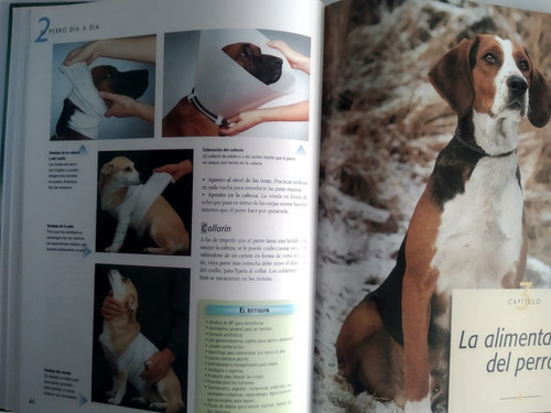 Imagen 7 de 8 de Larousse Del Perro