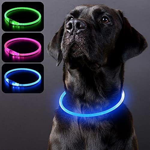 Pzrlit Led De Luz Para Arriba Collares De Perros Usb Y67bn