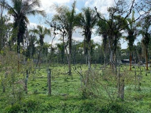 Imagem 4 de 8 de Terreno De Chácara De 7 Mil Metros Itanhaém Litoral Sul Sp
