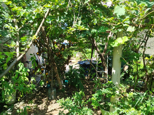 Excelente Terreno, Escriturado, Registrado Em Uma Ótima Loc