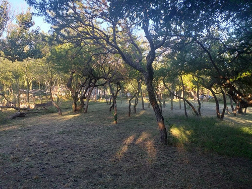 Imagen 4 de 4 de Vendo Terreno De 1003 M2 Zona Muy Tranquila Y Hermosa Arbole