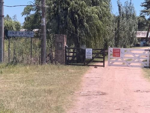 Granja Avícola En San Andrés De Giles (bs. As.)