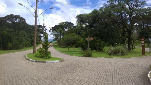 Imagem 21 de 23 de Casa Com 4 Dormitórios À Venda, 447 M² Por R$ 3.700.000,00 - Altos Pinheiros - Canela/rs - Ca0628