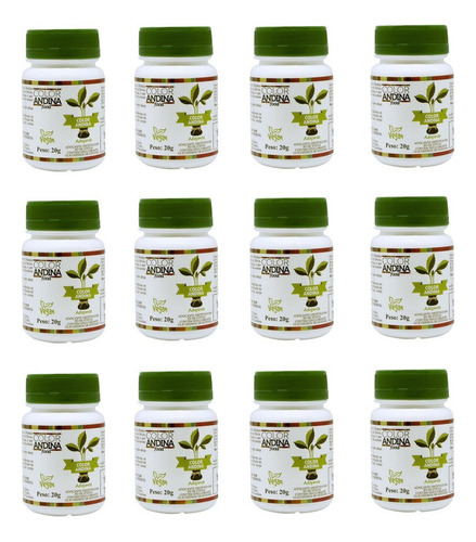 Kit Com 12 Adoçante Stevia Em Pó Color Andina 20g