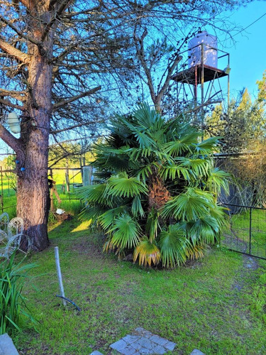 Imagen 19 de 29 de Chacra Con Vivienda