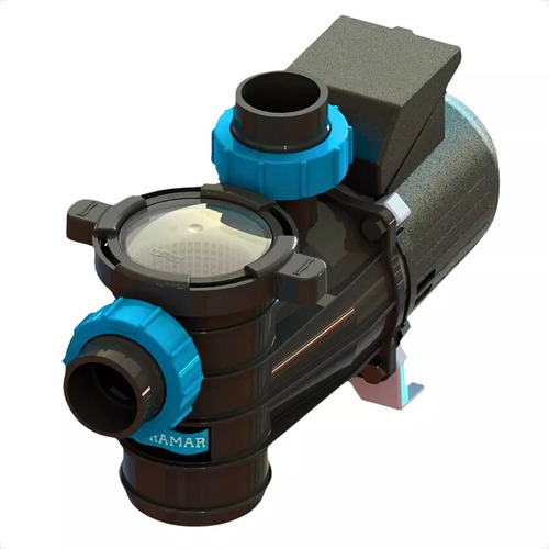 Bomba Para Piscina 1/3 Cv Bmp 33 Mono Tensão Única 220v Weg