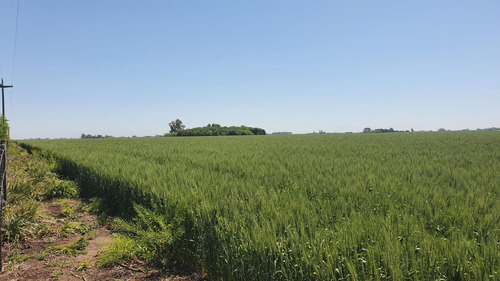Imagen 2 de 15 de Campo En San Miguel Del Monte - 188 Hectáreas