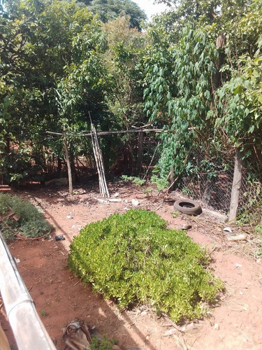 Imagem 17 de 30 de Chácara 1 Alqueire, Acesso Asfaltado, 2 Casas, Sendo Uma Com 3 Dormitórios, Área Gourmet Com Churrasqueira, Pomar, Horta, Galinheiro - Ch00200 - 70578730