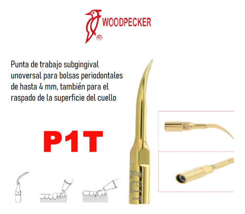 Punta Woodpecker Periodontal P1t Para Endoidoncia 1 Pieza