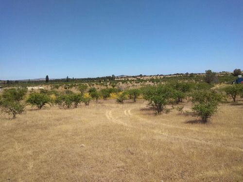 Se Vende Parcela 5000m2 Terreno Plano