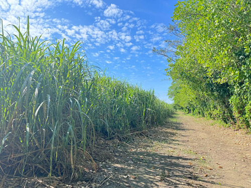 Vendo Rancho Cañero