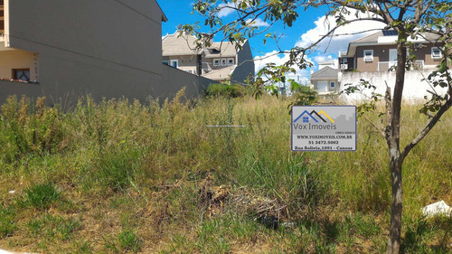 Imagem 8 de 15 de Terreno - Sao Luis - Ref: 45843 - V-45843