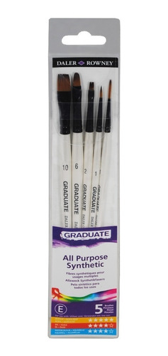 Set 5 Pinceles Graduado Clásico Daler Rowney