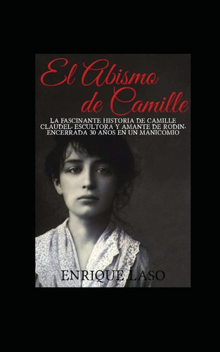 Libro: El Abismo De Camille: La Terrible Historia De Camille