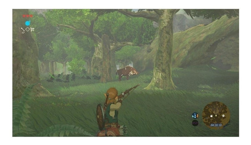 The Legend of Zelda: Breath of the Wild Standard Edition Nintendo Wii U Físico