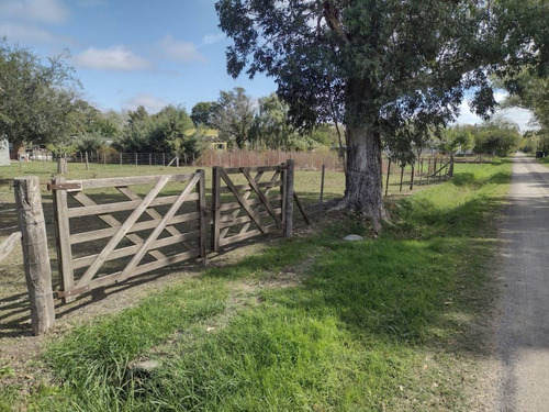 Lotes En Venta Magdalena, Vieytes.