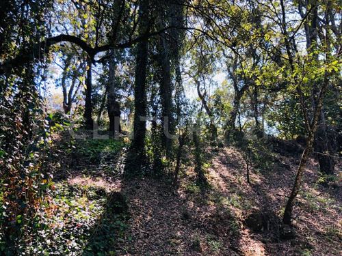 Terreno Venta Cocuatla Tepoztlan San Juan Tlacotenco Ocotes Tepoztlan Morelos