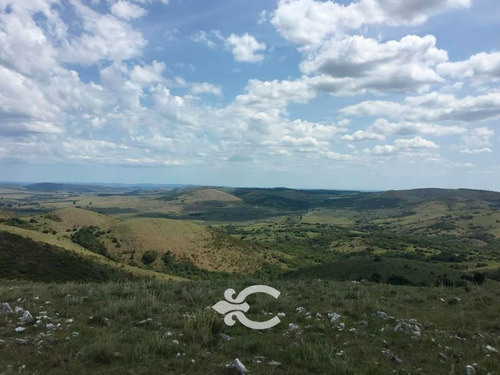 Campo En Maldonado Y Lavalleja Ref. 7468 (ref: Cbr-911)