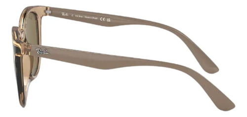 Óculos de sol femeninos Ray-Ban RB4383 Cor Marron