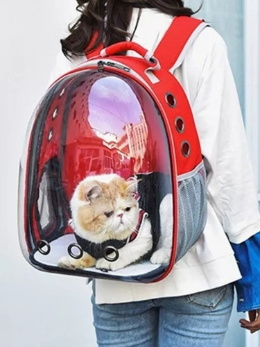 Mochila Transportador Perro Gato Calidad!! Hasta 8kgs Envio