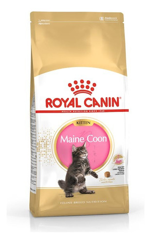 Royal Canin Maine Coon Kitten