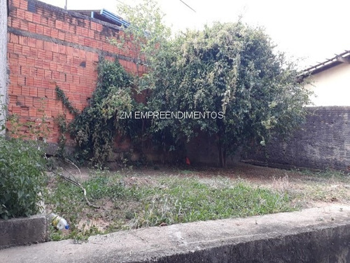 Imagem 3 de 26 de Casa - Ca00486 - 68577577