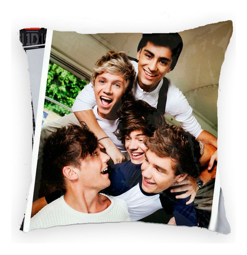 One Direction Harry Louis Zyan Nial Take Me Home Cojín 40x40