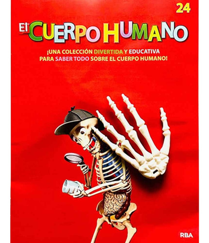 El Cuerpo Humano (para Armar) 24 Mano Izquierda, De Sin . Editorial Fasciculos Coleccionables, Edición 1 En Español
