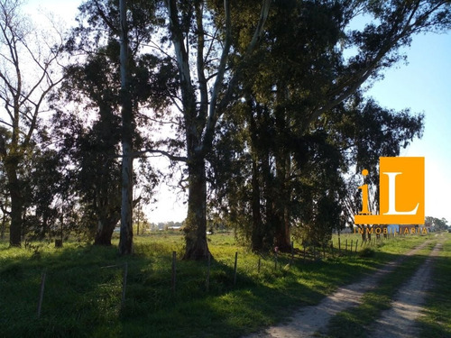 Lotes Sobre Ruta 210 - Cnel. Brandsen.
