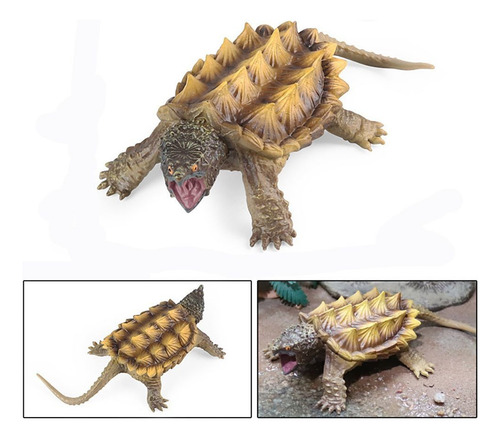 Modelos De Tortuga Caimán Marino Simulación Wildlife-