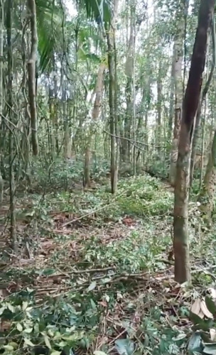 Terreno Com Plato Pronto Pra Construir Próximo Da Represa