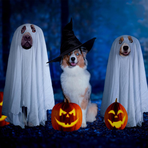 Disfraz De Perro Fantasma Disfraz De Perro De Terror Capa Gó